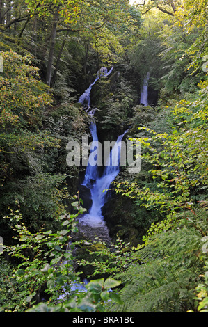 Die Stock Ghyll Wasserfälle in der Nähe von Ambleside in The Lake District Cumbria UK Stockfoto