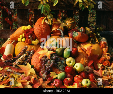 STILLLEBEN MIT HERBSTLICHEN ERNTE OBST UND GEMÜSE Stockfoto