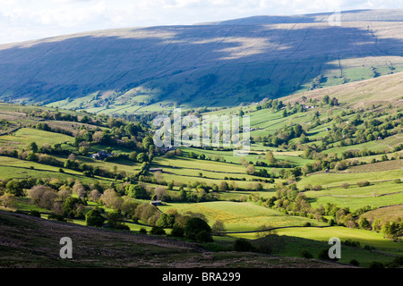 Kleine Betriebe in Deepdale in den Yorkshire Dales National Park, in der Nähe von Whernside, südlich von Dent, Cumbria Stockfoto