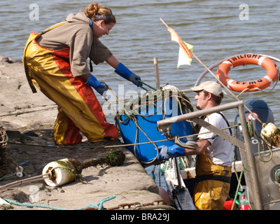 Fischer und Fischer an der Arbeit, Bude, Cornwall, UK Stockfoto