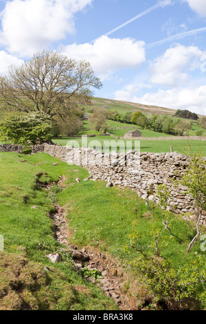 Dentdale in der Nähe von Cowgill in den Yorkshire Dales National Park. östlich von Dent, Cumbria Stockfoto