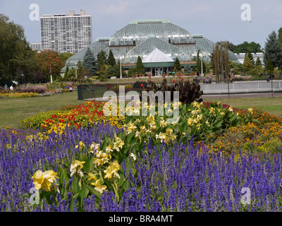 Chicago Lincoln Park Blume Wintergarten Stockfoto