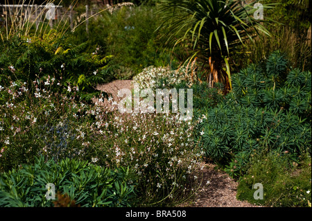 Der chemische Garten in den ummauerten Gärten von Cannington in Somerset, Großbritannien Stockfoto