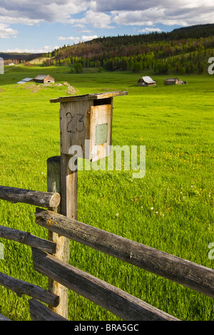 Kanada, British Columbia, Bluebird Haus am Zaun in Farmland, Juni Stockfoto