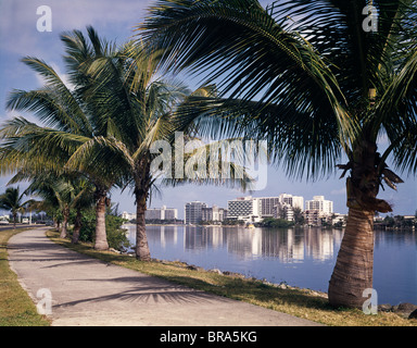 1960ER JAHREN PALM VON BÄUMEN GESÄUMTEN STRAßE SKYLINE-BLICK VON CONDADO BEACH HOCHHAUS HOTELS SAN JUAN PUERTO RICO Stockfoto