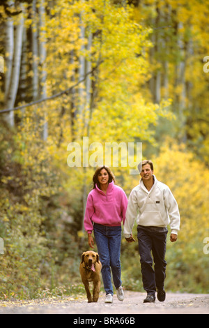 PAARE, DIE MIT HUND Stockfoto