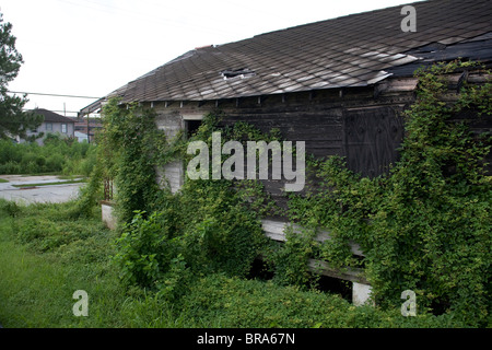 Verseuchte Gehäuse in New Orlean Ninth Ward Nachbarschaft. Stockfoto