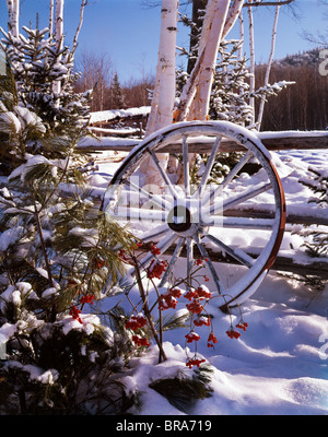 WAGENRAD GELEHNT HOLZZAUN VON BÄUMEN BEDECKT SCHNEE WINTER SCENIC Stockfoto