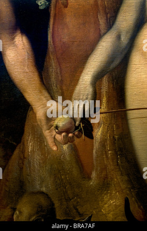 Cornelis van Haarlem The Fall der Mann Adam Eva Garden Of Eden Apfel Baum Museum Niederlande Stockfoto