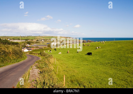 Copper Coast, Co Waterford, Irland; Weg zur Bunmahon Stockfoto