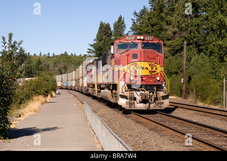 Burlington Northern Santa Fe BNSF Eisenbahn Container Güterzug bei in Tacoma WA USA Vereinigte Staaten von Amerika Stockfoto