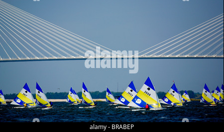 Rennsport bei der Weltmeisterschaft Sunfish, Charleston, South Carolina, USA. Stockfoto