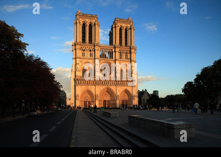 Westfront der Kathedrale Notre Dame im Abendlicht.Paris.Frankreich Stockfoto