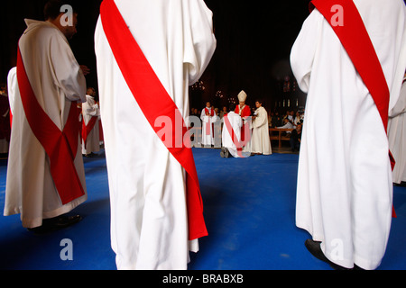 Priester-Ordinationen in Notre-Dame de Paris, Paris, Frankreich, Europa Stockfoto