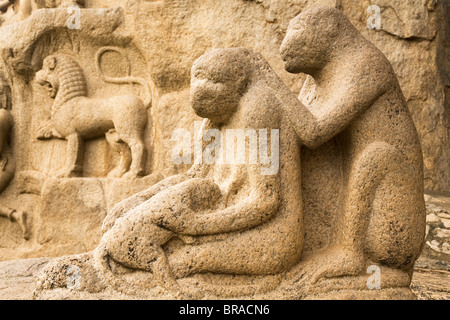 Eine Steinskulptur zeigt Affen Pflege schließen, um die Buße von Arjuna, Mahabalipuram, UNESCO, Tamil Nadu, Indien Stockfoto