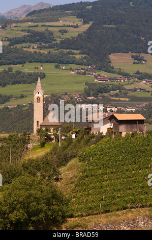 Weinberge, Tiso, Villnösser Tal (Villnoss), Dolomiten, Trentino Alto Adige, Südtirol, Italien, Europa Stockfoto