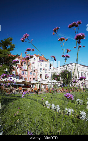 Restaurants und Cafés in Livu Laukums, Riga, Lettland, Baltikum, Europa Stockfoto