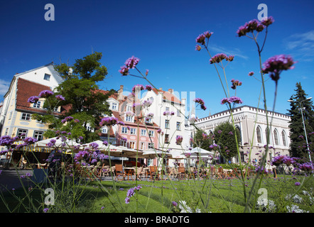 Restaurants und Cafés in Livu Laukums, Riga, Lettland, Baltikum, Europa Stockfoto