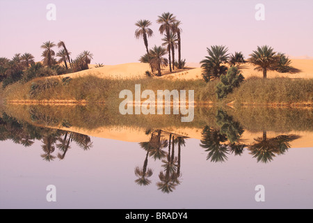 In der Erg Ubari, Umm el Ma (Mutter des Wassers) See, Libyen, Nordafrika, Afrika Stockfoto