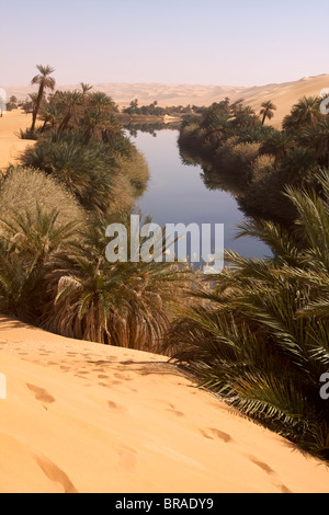 In der Erg Ubari, Umm el Ma (Mutter des Wassers) See, Libyen, Nordafrika, Afrika Stockfoto