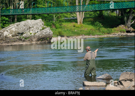 Angler-Fliegenfischen auf Lachs in einem Fluss in Schottland, Großbritannien Stockfoto