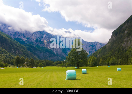 Tal mit Wiesen und Heu Ballen, Logarska Dolina, Slowenien, Europa Stockfoto