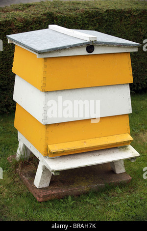 Bild von Mark Passmore/markpassmore.com. 09.12.2010. Eine Reihe von farbigen Bienenstöcke. Stockfoto