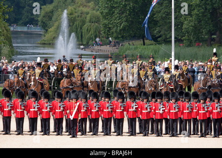 Gardisten, Artillerie, Pferde, Sommer, ein Park, ein See, ein Brunnen: "Trooping die Farbe" 2010 Stockfoto