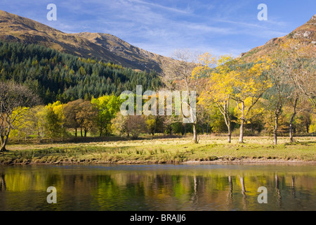 Herbstliche Aussicht auf Loch Lubnaig an den Hängen des Ben Ledi, Stirling, Schottland, UK Stockfoto