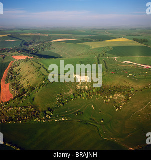 Luftbild von Westbury White Horse und der Eisenzeit Bratton Camp Hill Fort, Wiltshire, England, Vereinigtes Königreich, Europa Stockfoto