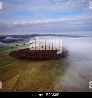 Luftaufnahme von Arundel Park in der Nähe von Arundel Castle, South Downs, West Sussex, England, Vereinigtes Königreich, Europa Stockfoto