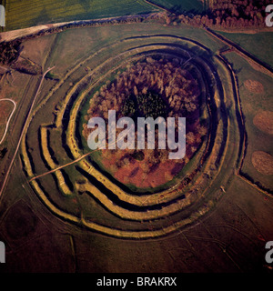 Luftaufnahme von Badbury Rings, eine Wallburg der Eisenzeit, Dorset, England, Vereinigtes Königreich, Europa Stockfoto