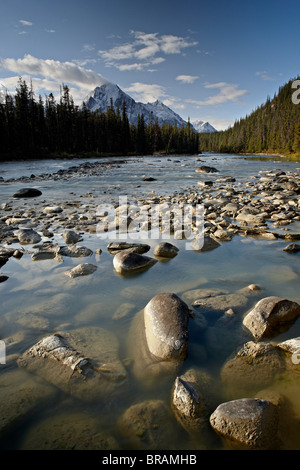 Whirlpool-Fluss, Jasper National Park, UNESCO-Weltkulturerbe, Rocky Mountains, Alberta, Kanada, Nordamerika Stockfoto