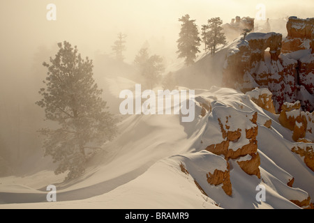 Nebligen Sonnenaufgang am Sunrise Point mit Schnee, Bryce-Canyon-Nationalpark, Utah, Vereinigte Staaten von Amerika, Nordamerika Stockfoto