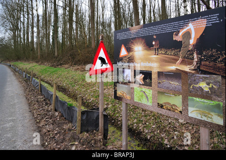 Warnschild, Info-Tafel und Barriere mit Eimern für die Migration Amphibien / Kröten (Bufo Bufo) beim Überqueren der Straße Stockfoto