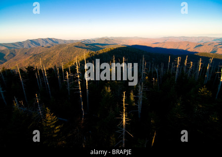 Blick über den Great Smoky Mountains National Park, UNESCO-Weltkulturerbe, Tennessee, Vereinigte Staaten von Amerika Stockfoto