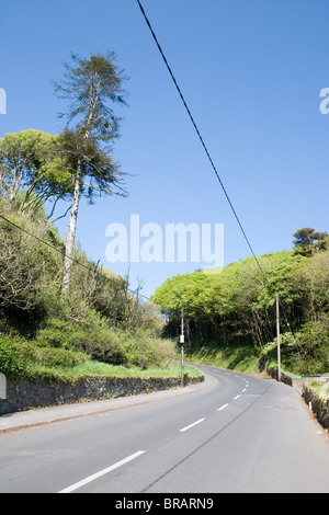 Country Road, Stradbally, Co. Waterford, Irland Stockfoto