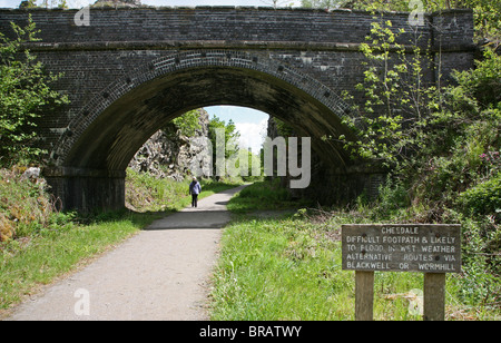 Eine Frau, Spaziergang mit ihrem Hund auf der stillgelegten Bahnstrecke bei Chee Dale, Derbyshire Peak District National Park Stockfoto