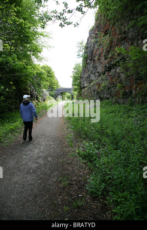 Eine Frau, Spaziergang mit ihrem Hund auf der stillgelegten Bahnstrecke bei Chee Dale, Derbyshire Peak District National Park Stockfoto