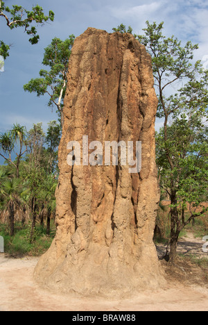 Einem hohen Erdhaufen Spinifex Termite (Nasutitermes Triodiae) im Litchfield Nationalpark, Northern Territory, Australien. Stockfoto