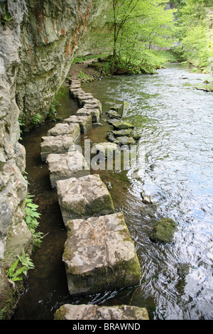 Kalkstein Trittsteine auf dem Fluss Wye an Chee Dale, Derbyshire, Peak District National Park, England, Großbritannien Stockfoto