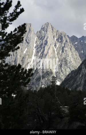 Alpinen Hochwald und Els Encantats Bergspitze auf Pyrenäen Traverse verfolgen Sant Maurici Nationalpark Pyrenäen Spanien Stockfoto