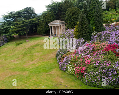 Die berühmten Rhododendren und korinthischen Tempels Wentworth Castle and Gardens, Stainborough in der Nähe von Barnsley in South Yorkshire Stockfoto