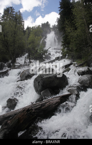 De Ratera Wasserfälle und alpinen Wald Pyrenäen Traverse planmäßig im spanischen Sant Maurici Nationalpark Pyrenäen Stockfoto