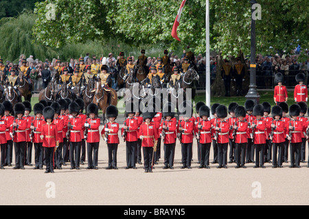 Gardisten, Artillerie, Pferde, Sommer, ein Park, ein See, ein Brunnen: "Trooping die Farbe" 2010 Stockfoto