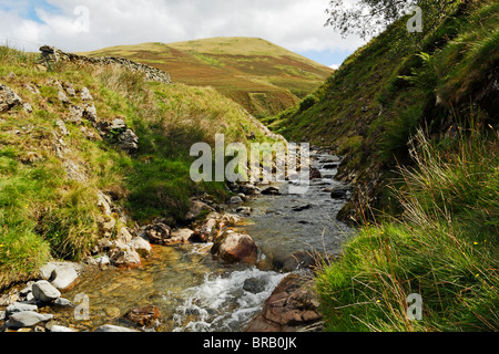 Carlingill Beck und Carlingill Tal in der Nähe von Sedbergh im Howgill Fells, Yorkshire Dales National Park, Cumbria, England. Stockfoto