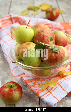 Äpfel-Herbst in einer Glastasse auf den Tisch Stockfoto