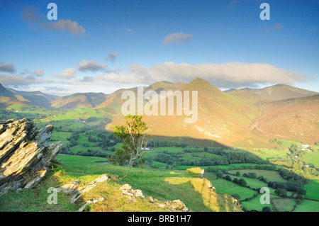 Sommermorgen auf Katze Glocken, Blick auf den Newlands Valley und Derwent Fells Stockfoto