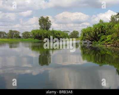 Ein bewölkter Himmel und Bäume spiegeln sich in Yellow Waters Billabong, Kakadu-Nationalpark, Northern Territory, Australien. Stockfoto