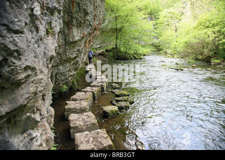 Kalkstein Trittsteine auf dem Fluss Wye an Chee Dale, Derbyshire, Peak District National Park, England, Großbritannien Stockfoto